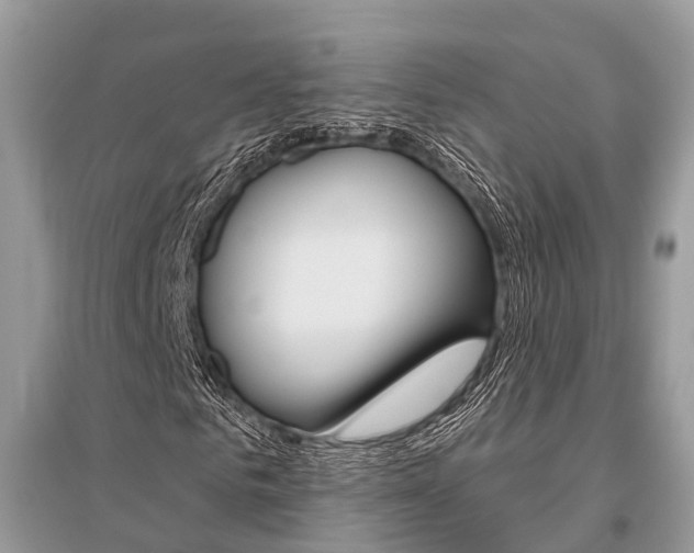 X0000096490961200801241207