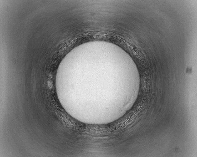 X0000096490962200801241207