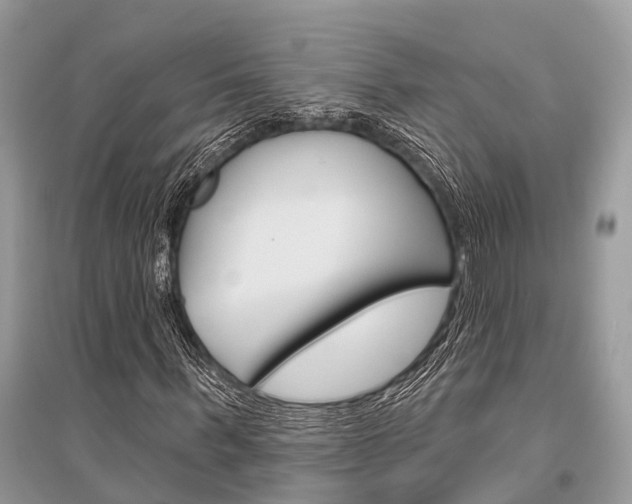 X0000096490963200801241207