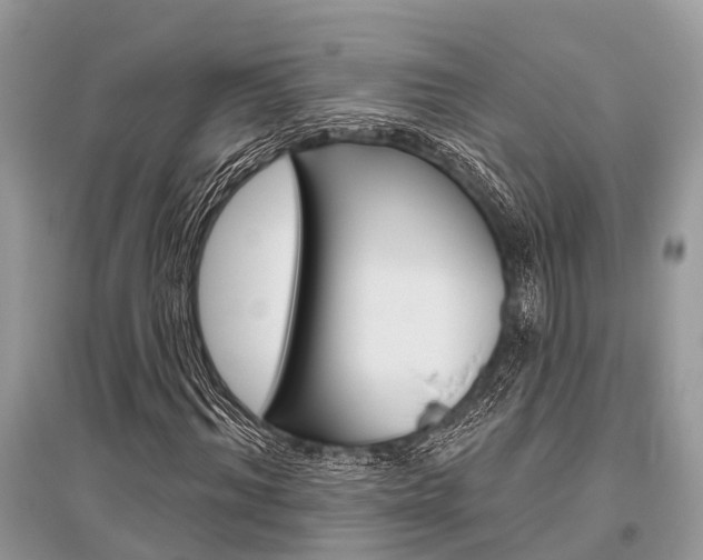 X0000096490964200801241207