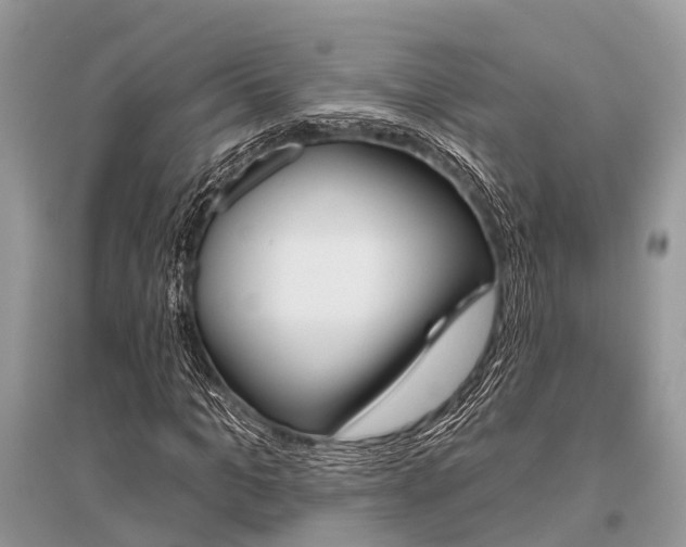 X0000096490965200801241207