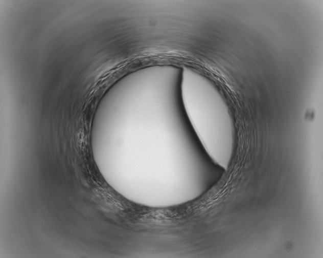 X0000096490966200801241207