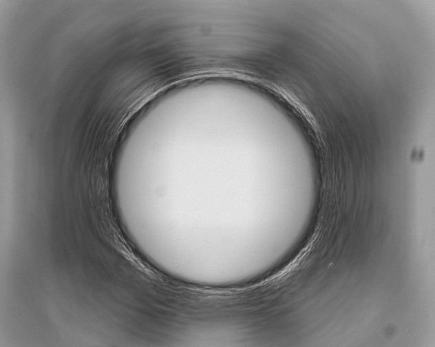 X0000096490969200801241207