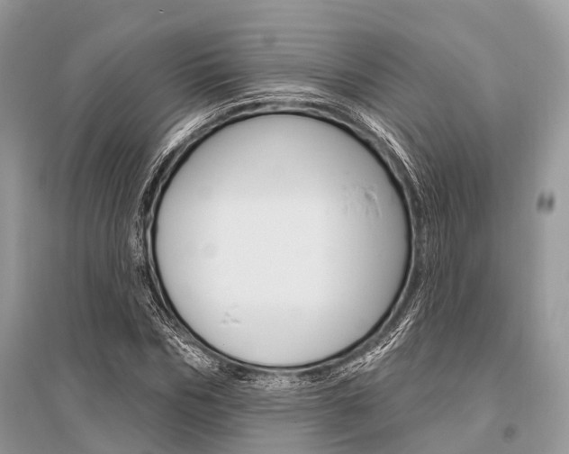 X0000096490970200801241207