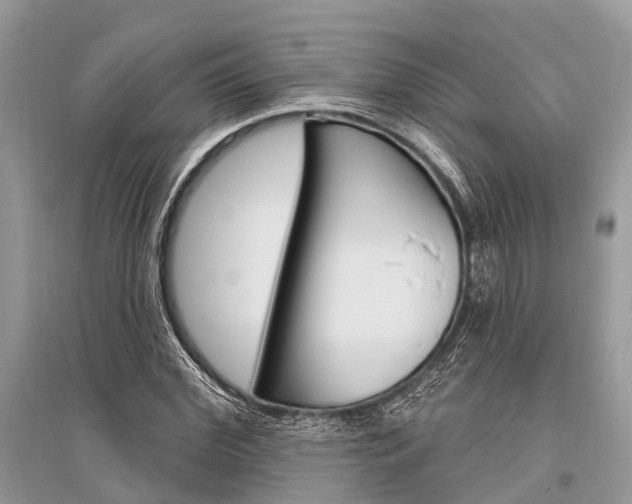 X0000096490972200801241207