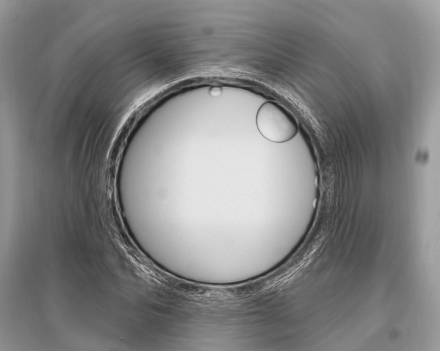 X0000096490974200801241206