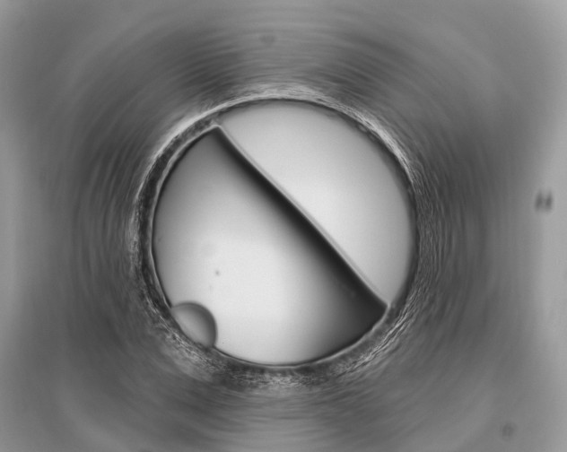 X0000096490975200801241206