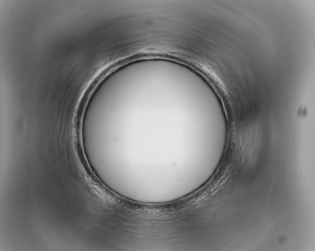 X0000096490976200801241206