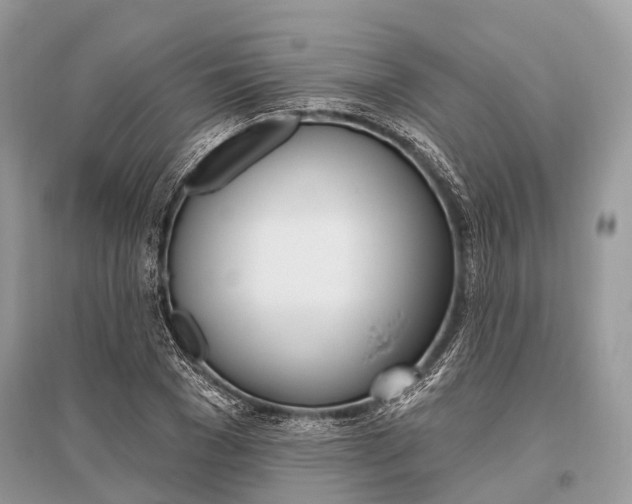 X0000096490977200801241206