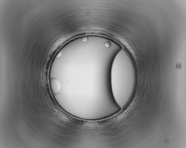 X0000096490978200801241206