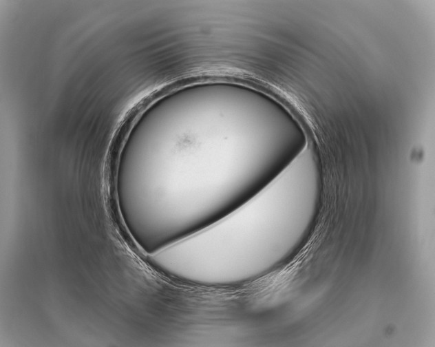 X0000096490979200801241206