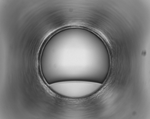 X0000096490980200801241206