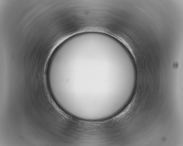 X0000096490981200801241206
