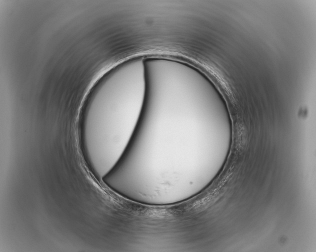 X0000096490982200801241206