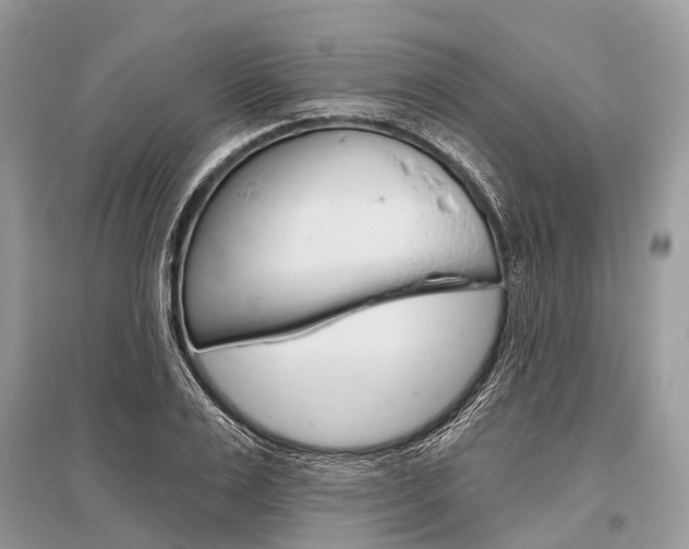 X0000096490983200801241206