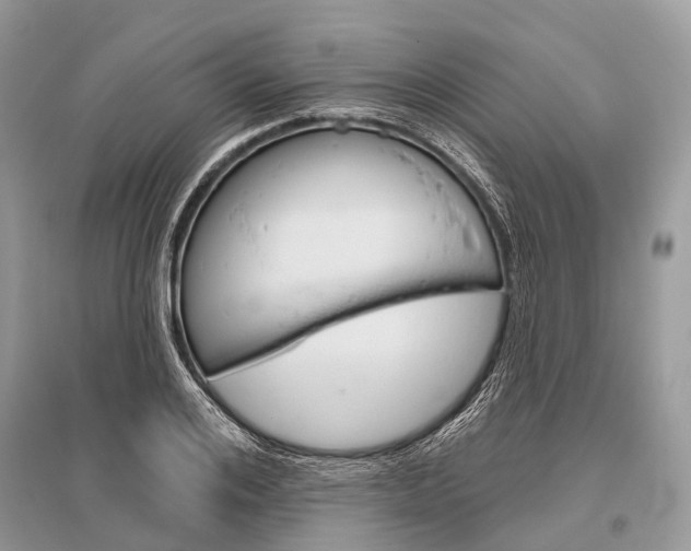 X0000096490984200801241206