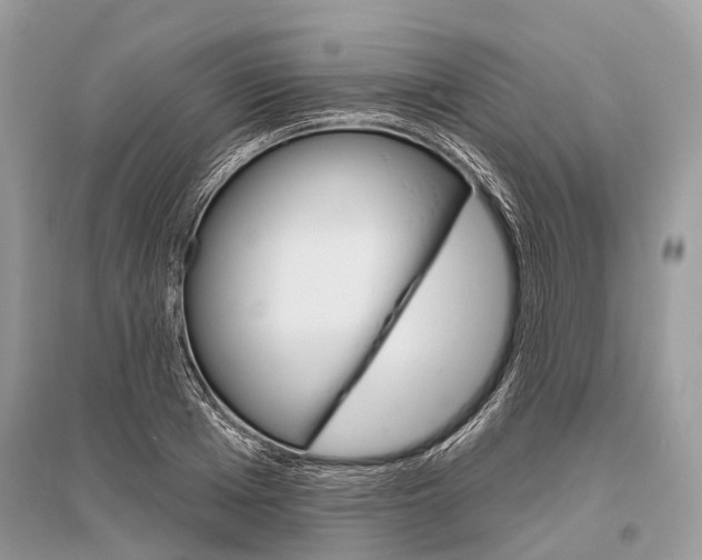 X0000096490985200801241206
