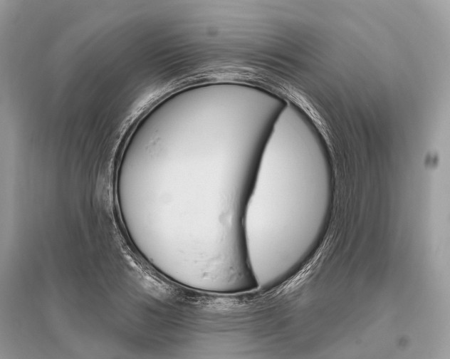 X0000096490986200801241206