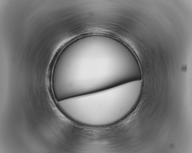 X0000096490987200801241206