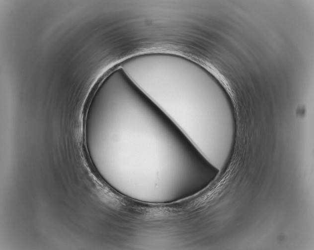 X0000096490988200801241206