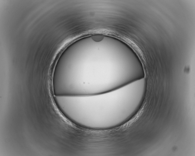 X0000096490989200801241206