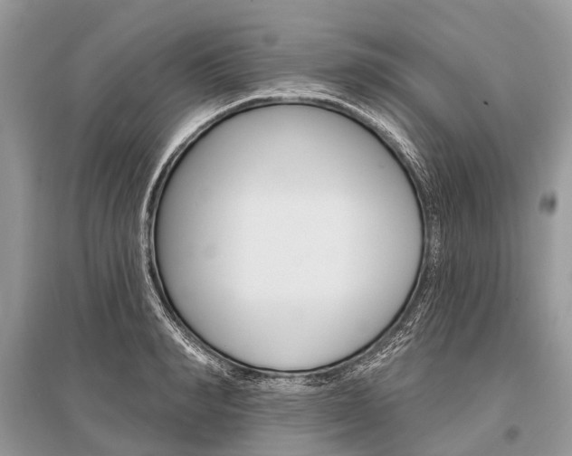 X0000096490990200801241206