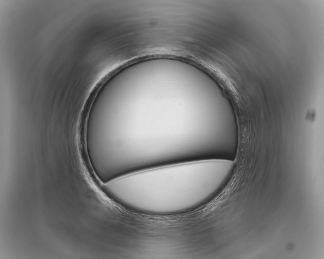 X0000096490991200801241206