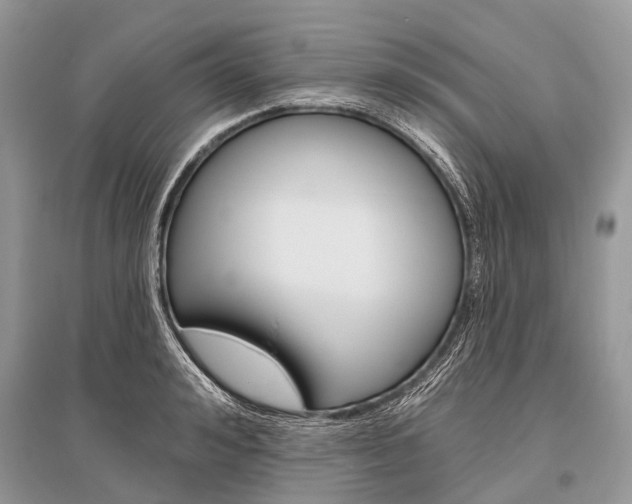 X0000096490992200801241206