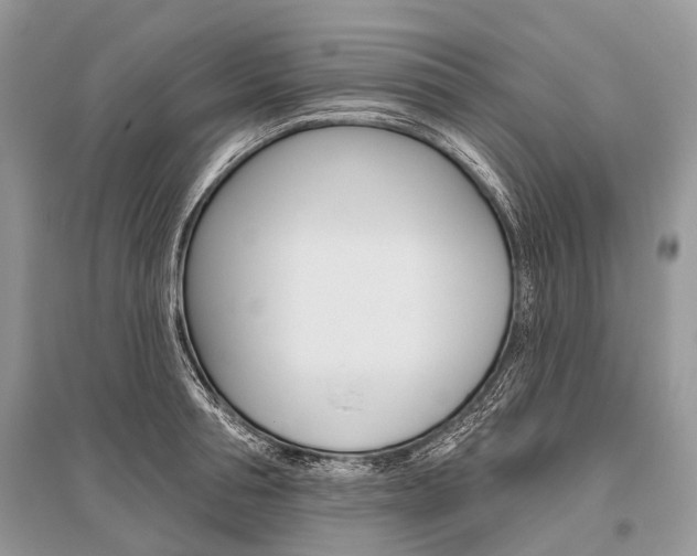X0000096490994200801241206