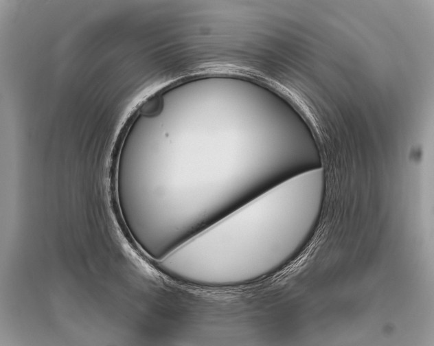 X0000096490995200801241206
