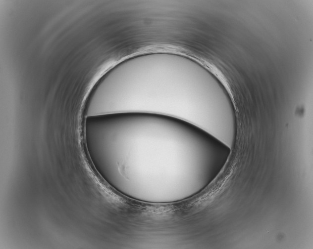 X0000096490997200801241206