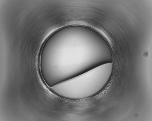 X0000096490999200801241206