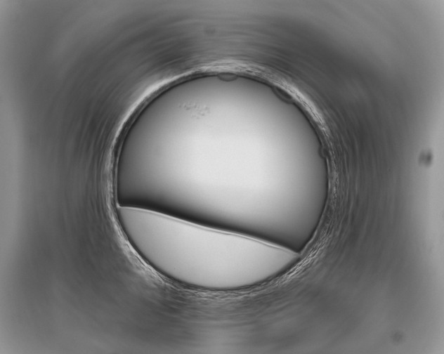 X0000096491000200801241206