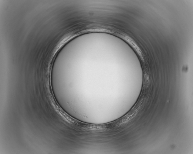X0000096491002200801241206