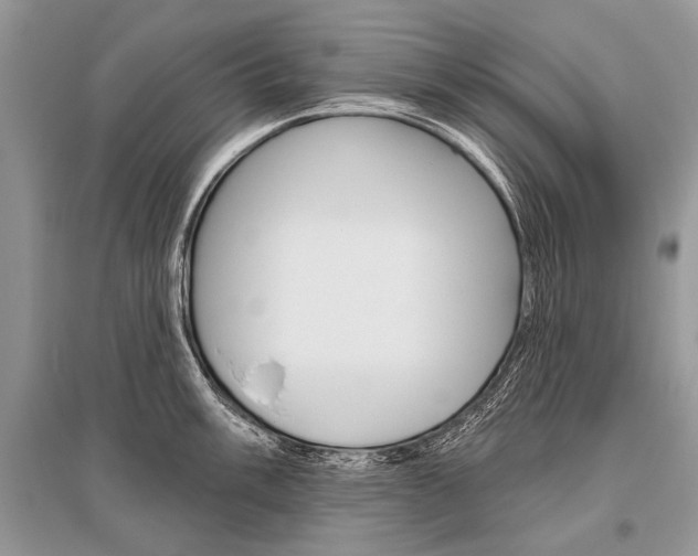 X0000096491003200801241206