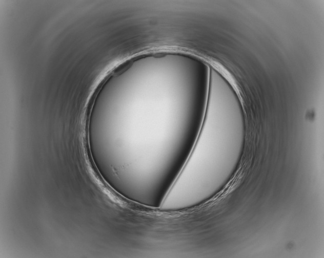 X0000096491005200801241206