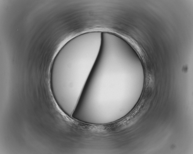 X0000096491006200801241206