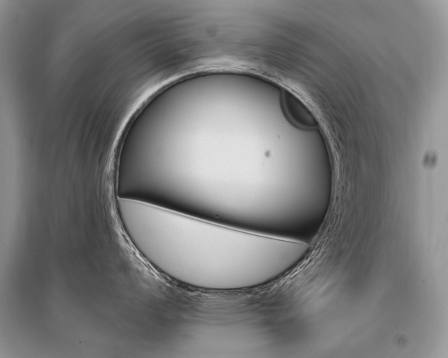 X0000096491008200801241206