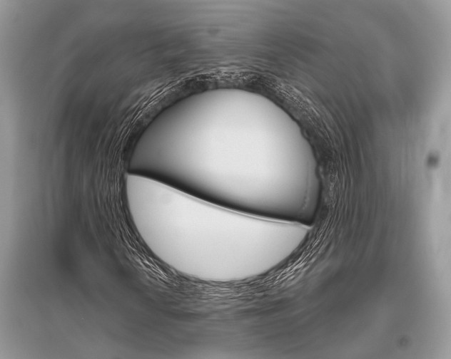 X0000096491010200801241205