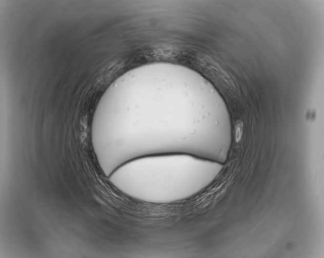 X0000096491011200801241205