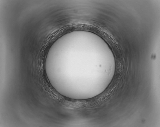X0000096491013200801241205