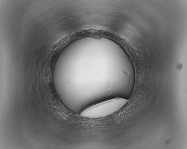 X0000096491014200801241205