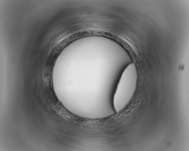 X0000096491015200801241205