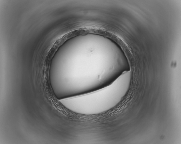 X0000096491016200801241205