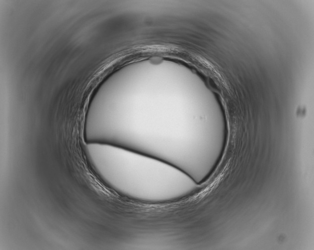 X0000096491017200801241205