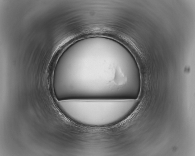 X0000096491018200801241205