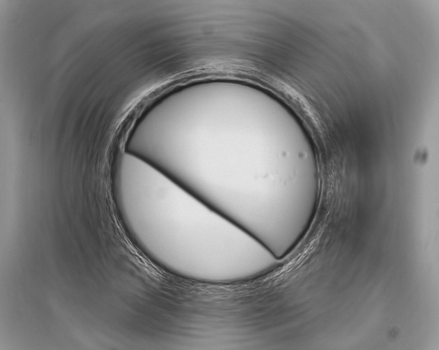 X0000096491019200801241206