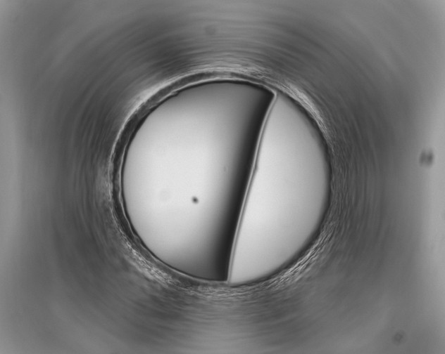 X0000096491020200801241206