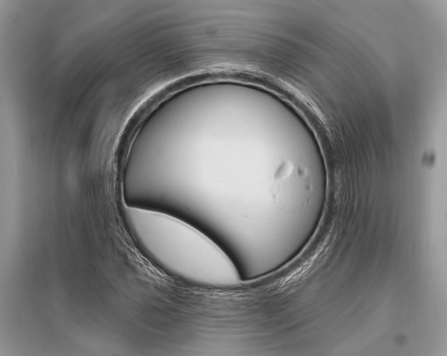 X0000096491021200801241206