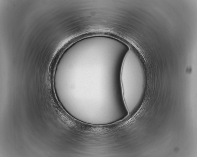 X0000096491022200801241206
